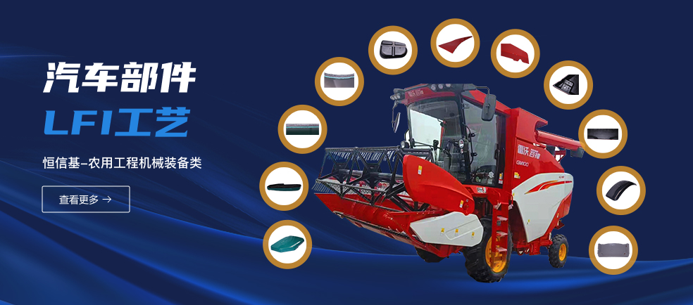 LFI工艺